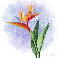 Blumenmotiv - Strelitzia Paradiesvogelblume