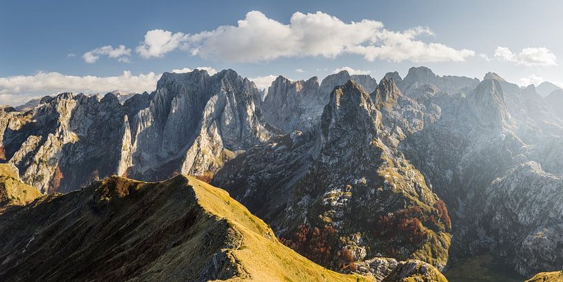 Karanfili IV by Rainer Mirau