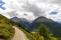 Chemin de Pontresina