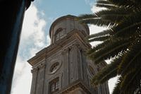 Catedral basílica las palmas