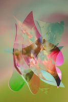 Abstracte collage in kleur