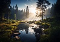 friedliche Morgenstimmung im Wald