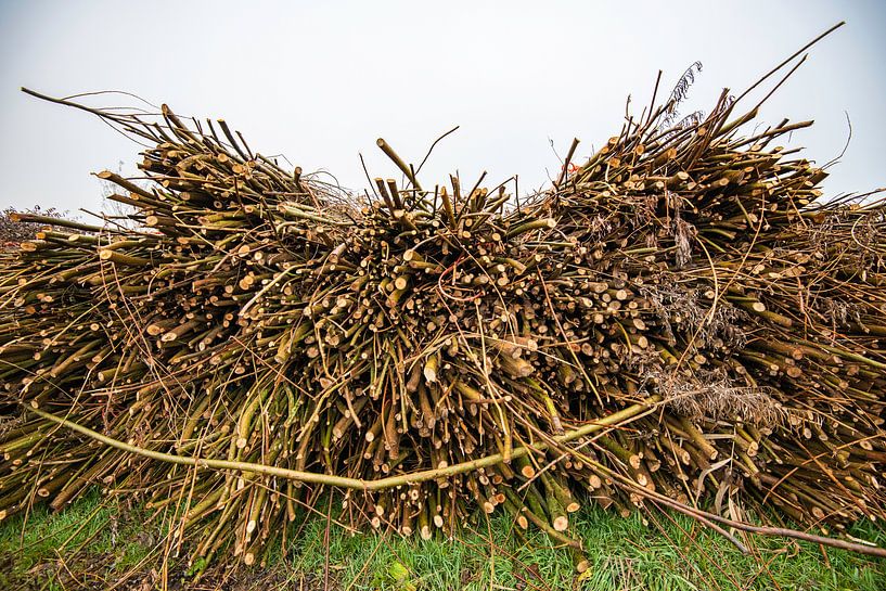 Autumn landscapes Haar-Zuijlens, Utrecht by Roland de Zeeuw