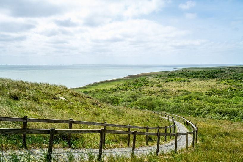 Natuur op Ameland von Dennis te Lintelo