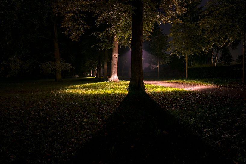 Abendspaziergang im Park von Fotografiecor .nl