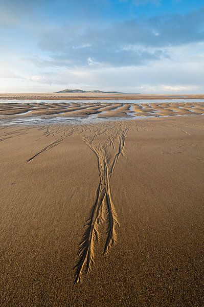 Marée basse sur le Zwin par Kees Kroon