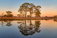 A beautiful sunset in Dwingelderveld