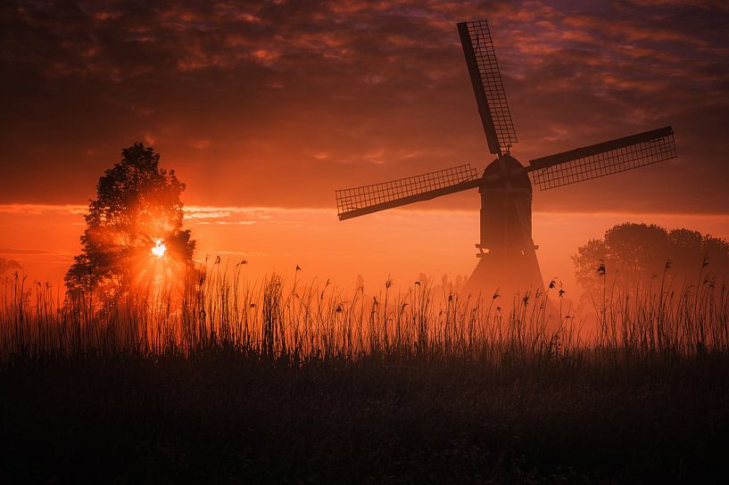 Oudendijkse Molen in the fog by Sander Peters
