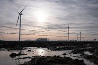 Windmills and barbed wire