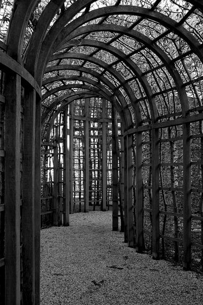 Straße ins Nirgendwo von Louise Poortvliet