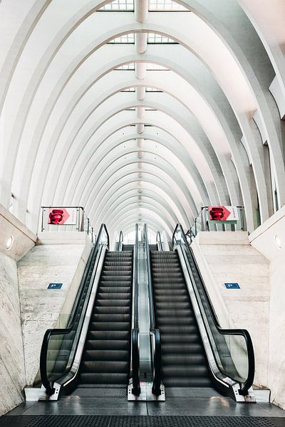 Stairs to the train by Wim van D