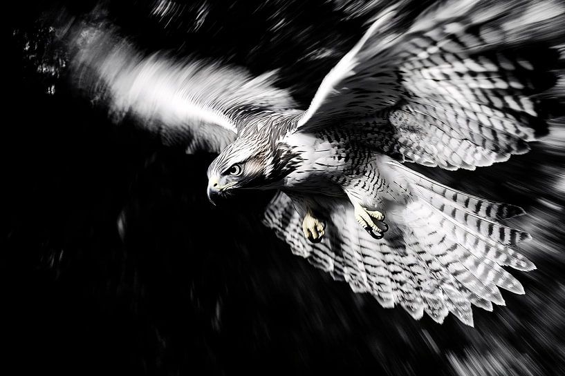 Habicht im vollen Flug von Art & Soul Creations