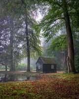 Apeldoorn Atmosphère d'automne