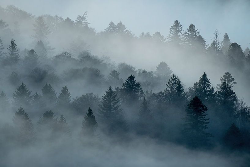 Nebel in den Bergen von Sam Mannaerts