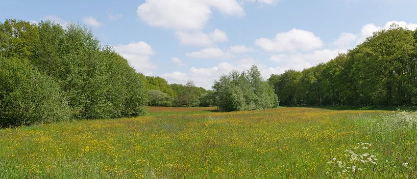 The Oude Diep stream valley in spring. by Wim vd Neut