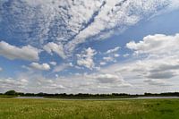 Mäander der Vecht bei Rheeze