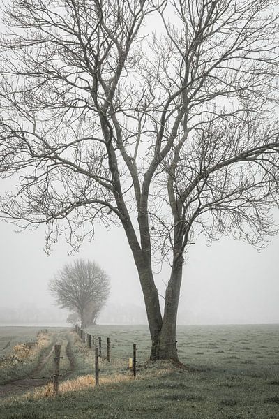 winter by rob creemers