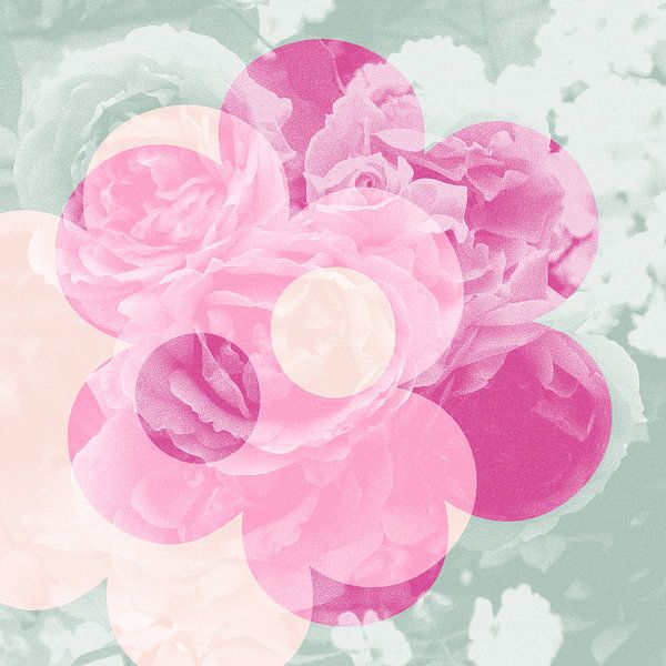 Liebe der Blumen-Rosen: rosa, Minze &amp; Lachs von ART Eva Maria