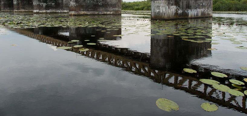 Reflexion der Brücke von Ooks Doggenaar