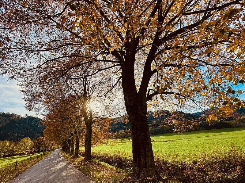 Herbstlandschaft von Markus Jerko