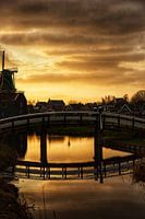 Dutch pride at sunset