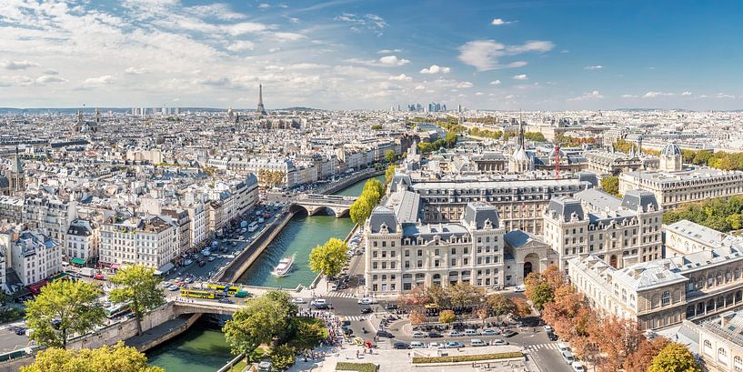 Uitzicht over Parijs vanaf de Notre Dame van Sascha Kilmer