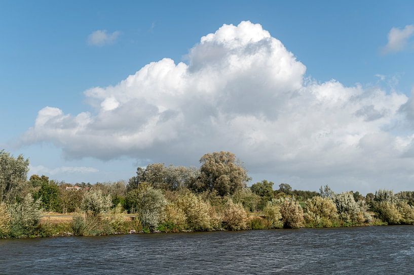Landschaft der Schelde von Richard Wareham
