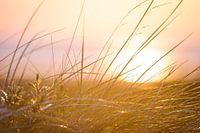 Zonsondergang strand