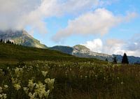Grüne Berge und blaue Seen in der Schweiz