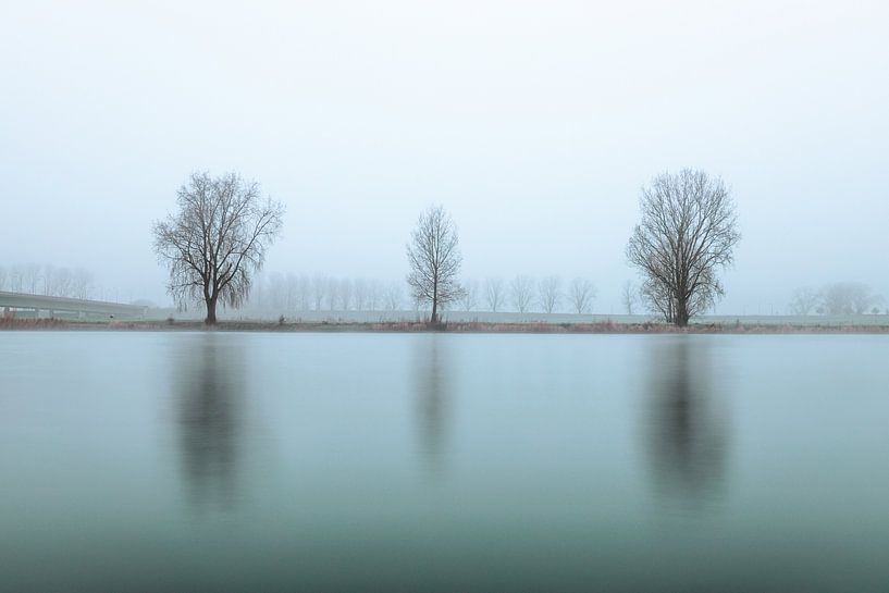 Maas de réflexion symétrique par Zwoele Plaatjes