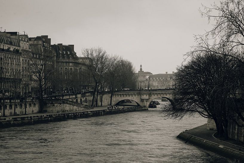 De Seine in Parijs. Levensader en toeristische attractie. van Robert Jan Smit