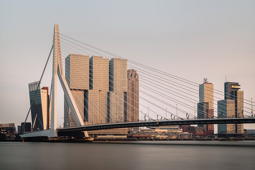 Erasmus Bridge, Rotterdam by Lorena Cirstea