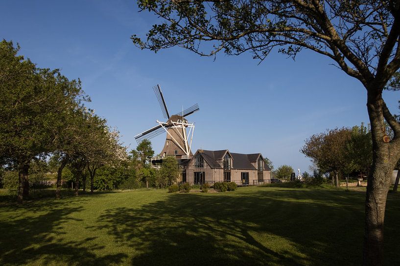 Sexbierum, Mill de Korenaar by Meindert van Dijk