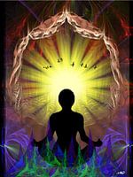 Light in the mirror of time