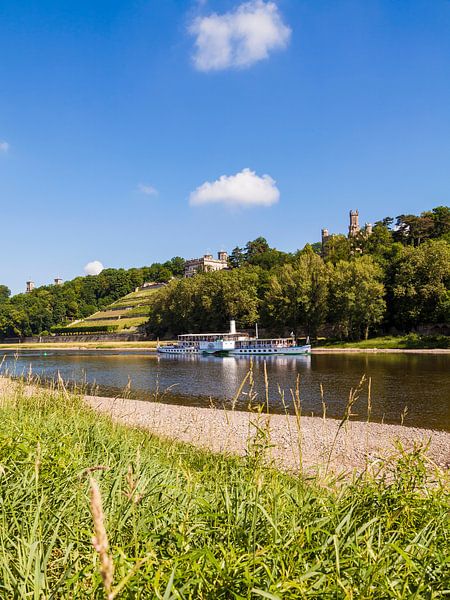 Les bateaux à aubes et les châteaux de l'Elbe à Dresde par Werner Dieterich
