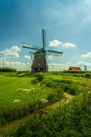 De Dorregeester molen op een mooie zomerdag.