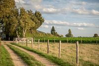 Sibbe, Maastrichterweg on a sunny day