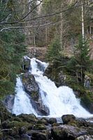 Imposante und schöne Triberger Wasserfälle im Schwarzwald