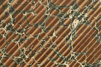 Digital Art Pattern Colored Marbled Lightning