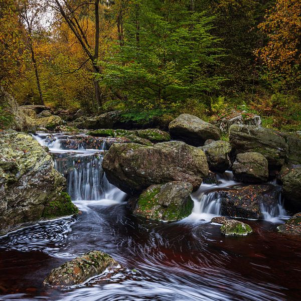Ardennen, Promenade de la Hoegne von Goos den Biesen
