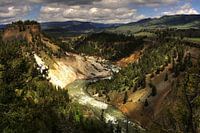 Up a River Without a Paddle