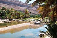 Some coolness in a wadi