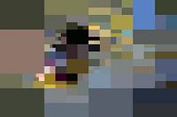 Mondriaan stijl krokodil