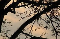 natuur met prachtige wolken