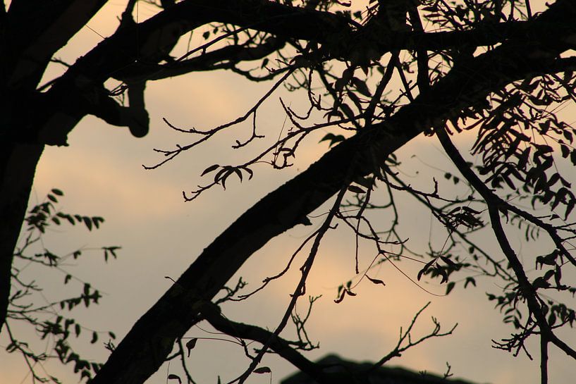 natuur met prachtige wolken by milan willems