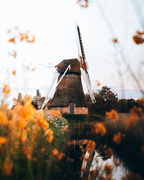 Noordermolen, Groningen by Marion Stoffels