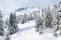Winter in Switserland (Bettmeralp)