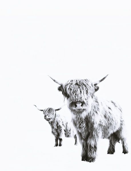 Highland Companions by Monika Strigel