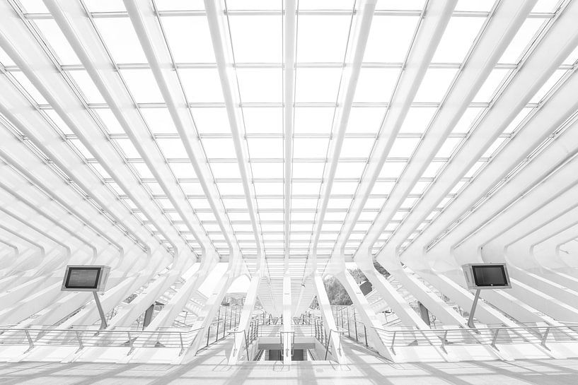 Perfekte Symmetrie von Wil Crooymans