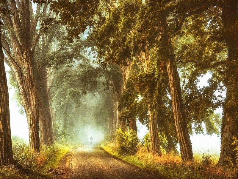 Hollanda Exotica par Lars van de Goor